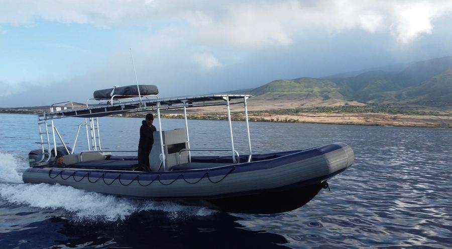 Humpback whale off West Maui