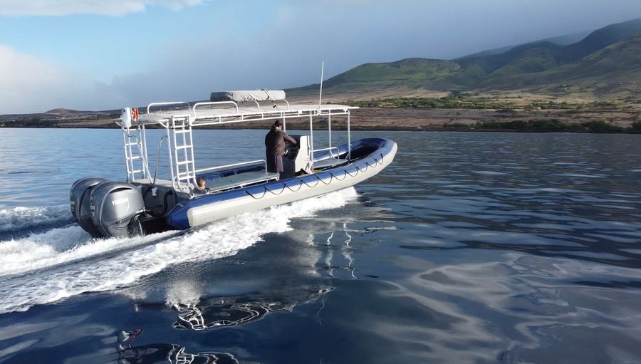 Humpback whale activity off Kaʻanapali