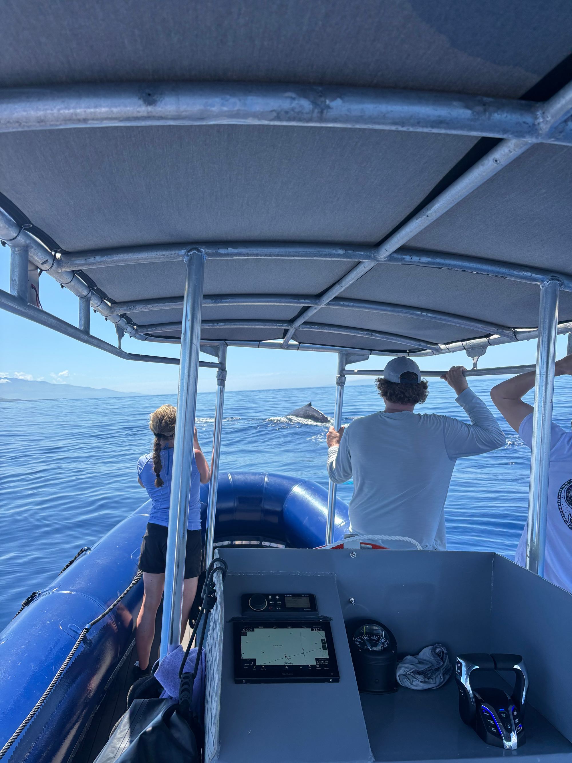 Guests watching a humpback whale surface beside the raft