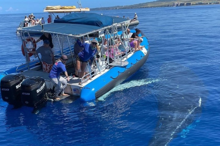 a group of people on a boat in a body of water