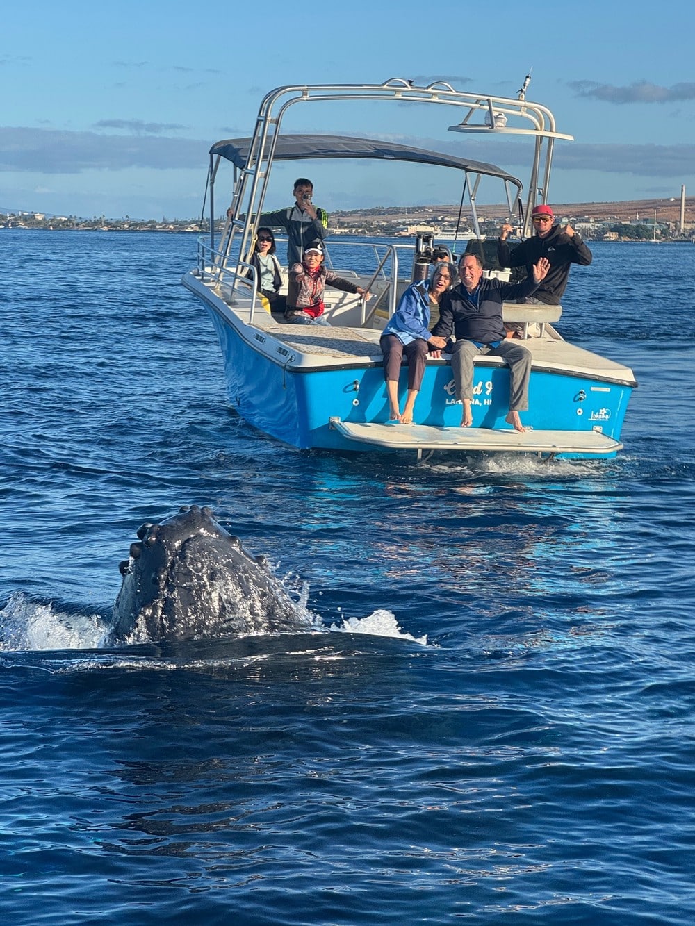 Whale Watching – Public