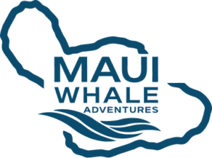 site-logo-primary